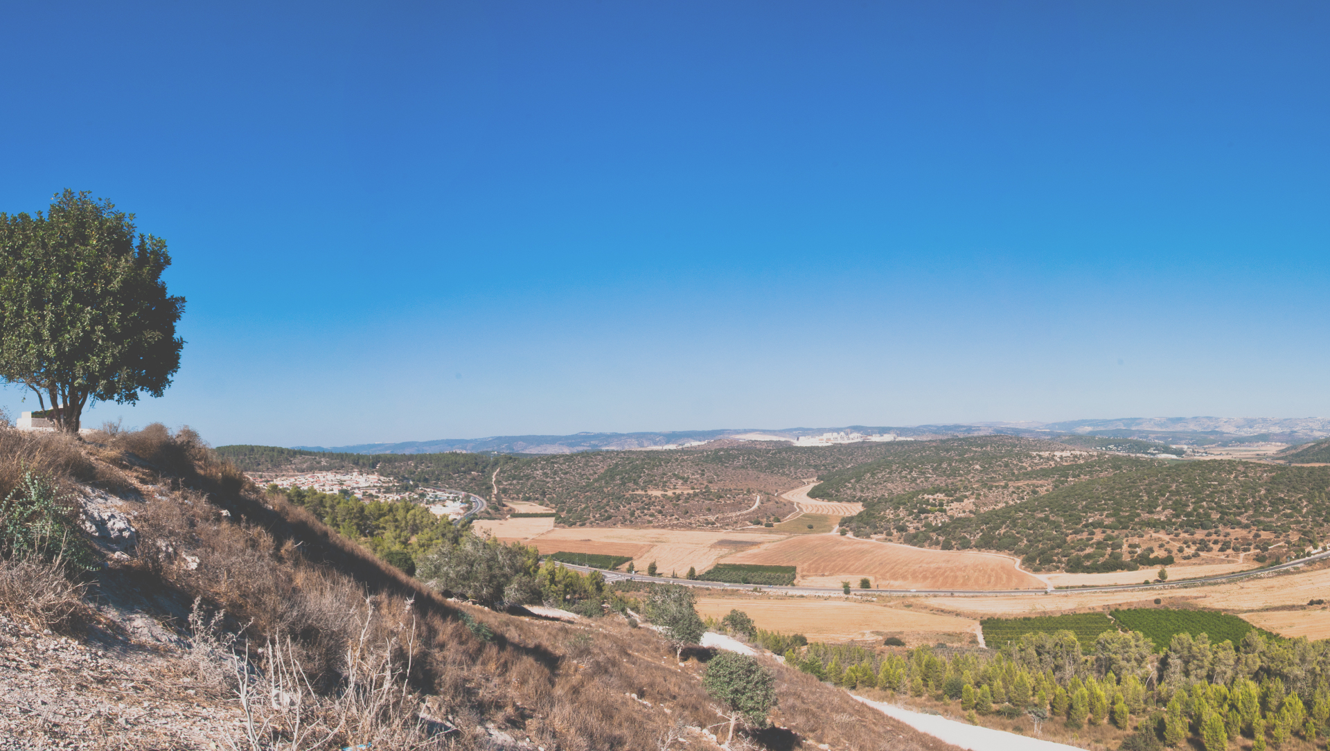 The Elah Valley, David and Goliath